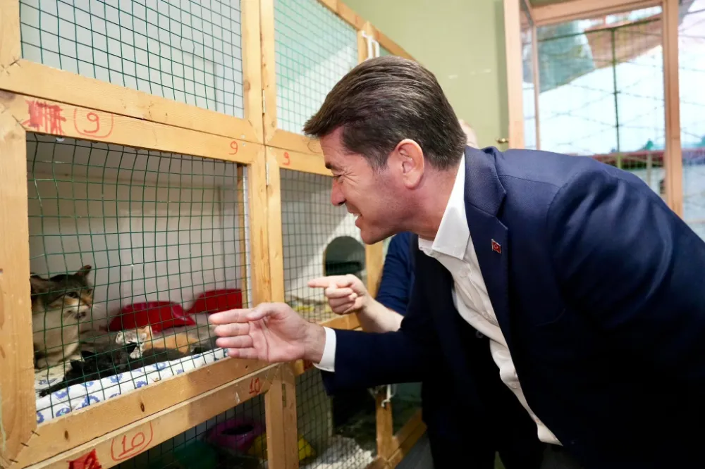 Trabzon Ortahisar Belediye Başkanı Kaya’dan ÇEVHAYKO Kedi Yuvası’na Ziyaret