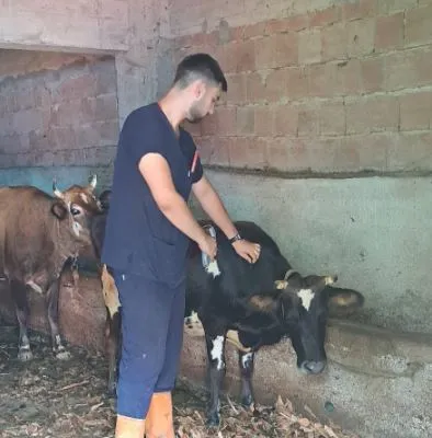 Hayrat’ta Hayvan Sağlığını Koruma Aşı Çalışmaları Devam Ediyor