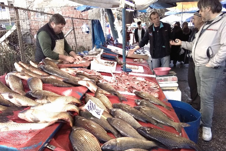 Bursa Yenişehir Balık Pazarı