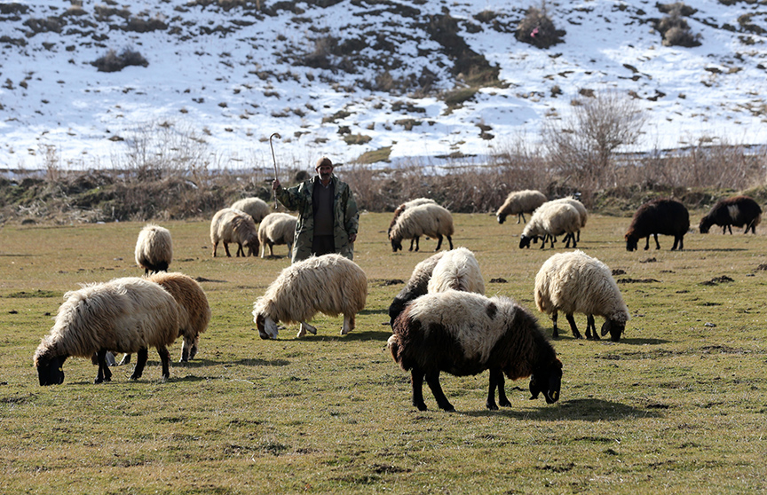 Kar kalınlığının geçen ocakta 2 metreyi aştığı Bitlis