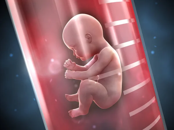 Tüp Bebek Tedavisinde Kilo Önemli midir? Kilolu İnsanlar Tüp Bebek Yöntemi ile Hamile Kalabilir mi?