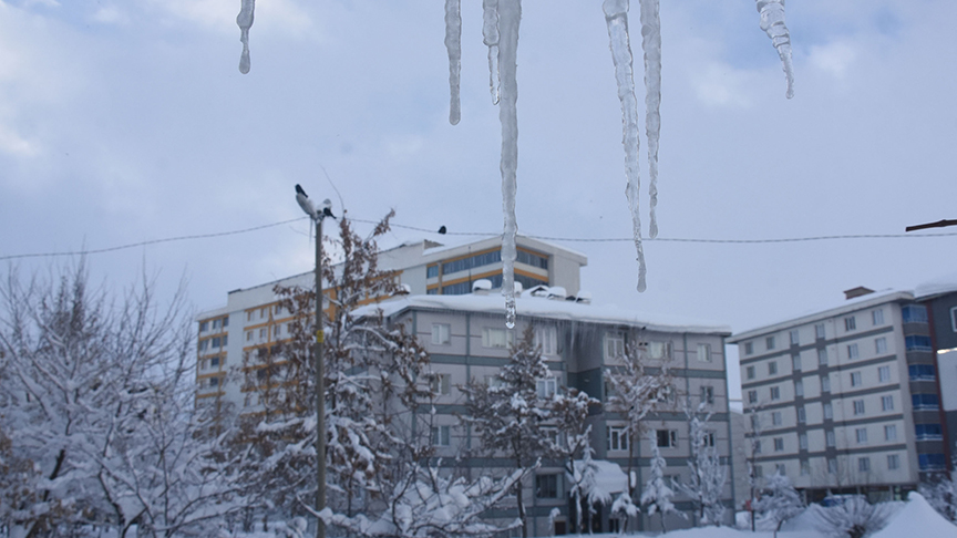 Bitlis