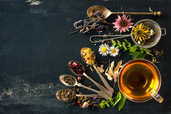 Bitki Çaylarının Faydaları Nelerdir? Hangi Bitki Çayları Zayıflatır?