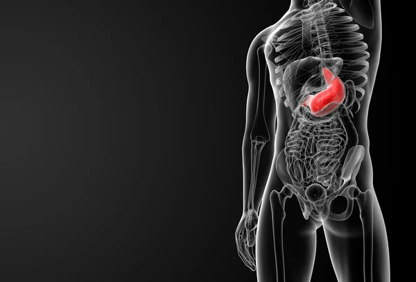 Gastrit nedir? Gastrit Hastalığının Tedavisi Nasıl Olur?