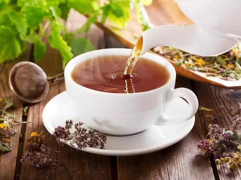 Karanfil Çayı Bitkisinin Faydaları Nelerdir? Karanfil Çayı Bitkisi Nasıl Demlenir?