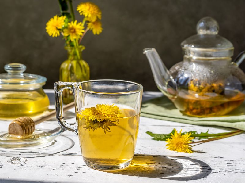 Karahindiba Bitkisinin Faydaları Nelerdir? Karahindiba Bitkisi Nasıl Demlenir?