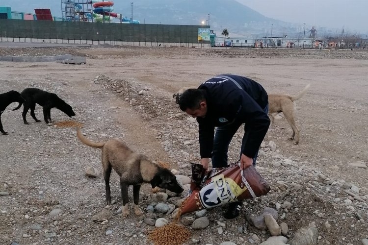 Manisa afet bölgesindeki can dostlarını unutmadı