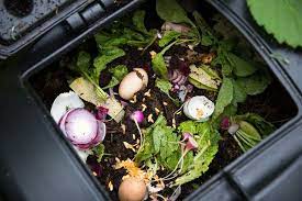 Kompost Nedir? Evde Kompost Nasıl Yapılır? Evde Kompost Yapmanın Püf Noktaları