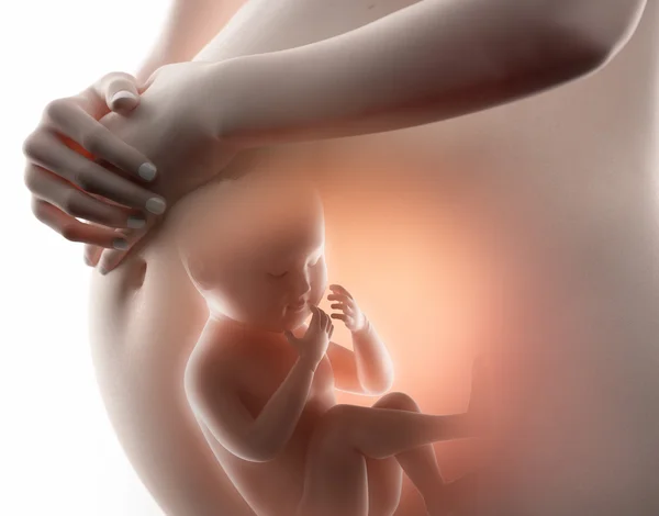 Rüyada cenin görmek ne anlama gelir, neye işarettir? Rüyada cenin görmenin anlamı nedir?