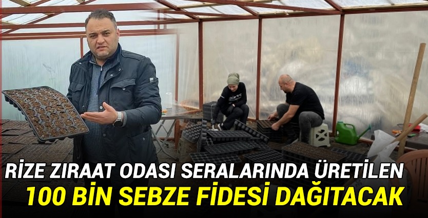 Rize Zıraat Odası 100 bin sebze fidesi dağıtacak