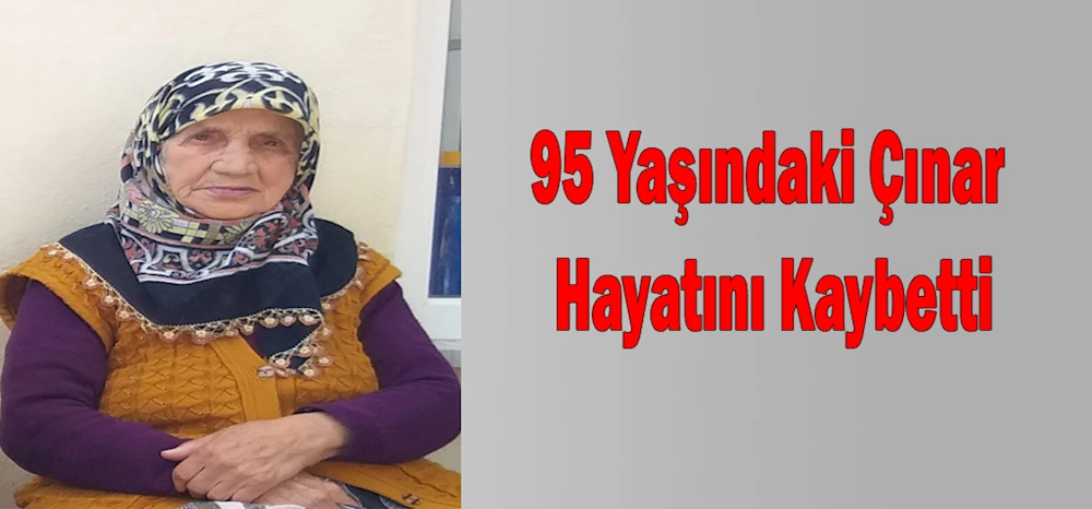 95 Yaşındaki Çınar Hayatını Kaybetti