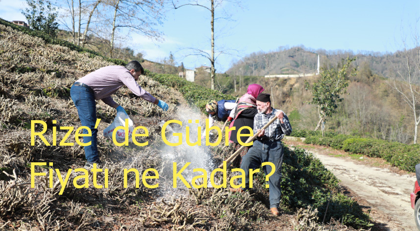 Rize’ de Gübre Fiyatı ne Kadar?