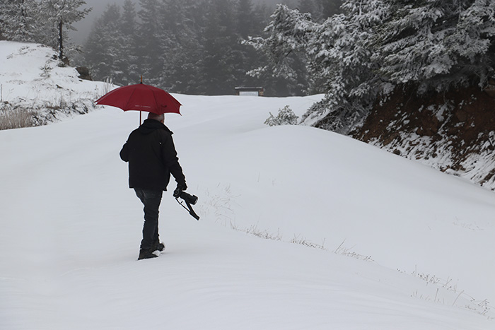 Kastamonu Ilgaz Dağı