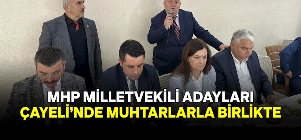Mhp