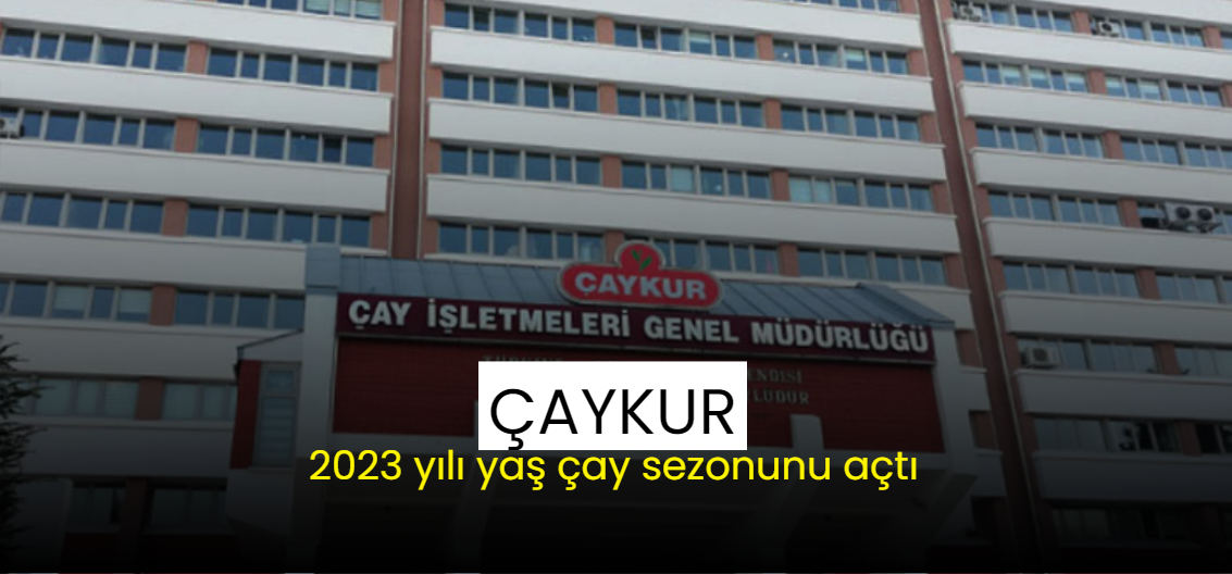 ÇAYKUR, 2023 yılı yaş çay sezonunu açtı