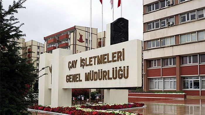 Çay İşletmeleri (ÇAYKUR) Genel Müdürlüğü  3 günde 730 ton çay aldı!