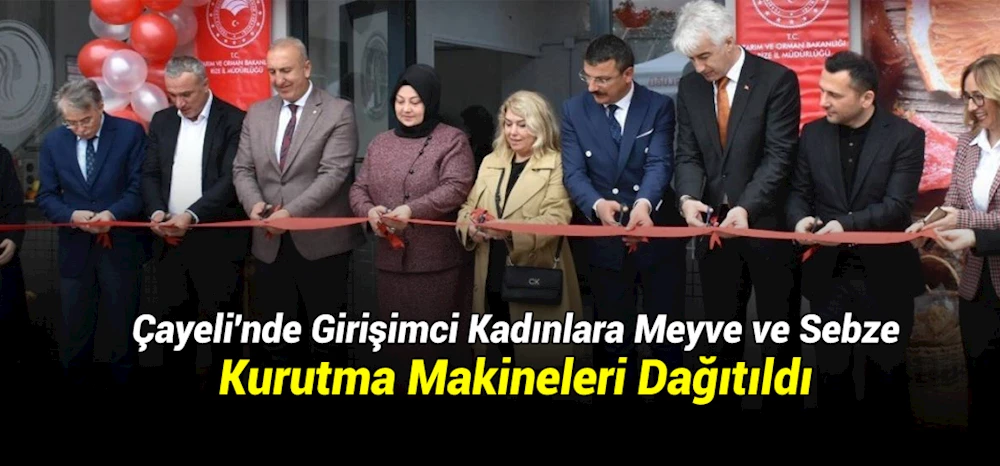Çayeli