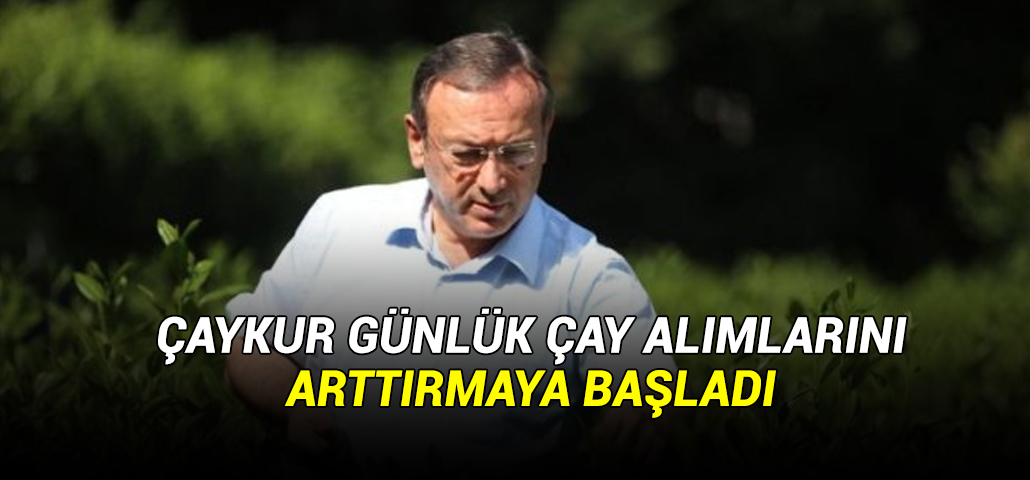 Çaykur, günlük çay alımlarını artırmaya başladı