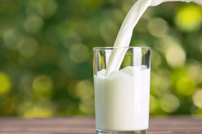 Tam yağlı süt stresin etkilerini azaltabilir!