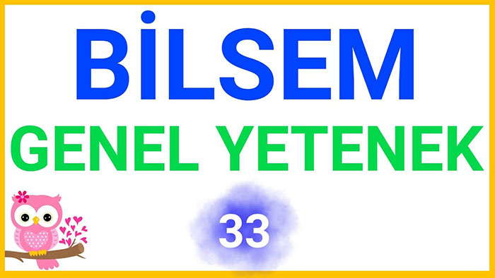 Bilsem genel zihinsel yetenek sorular 2023