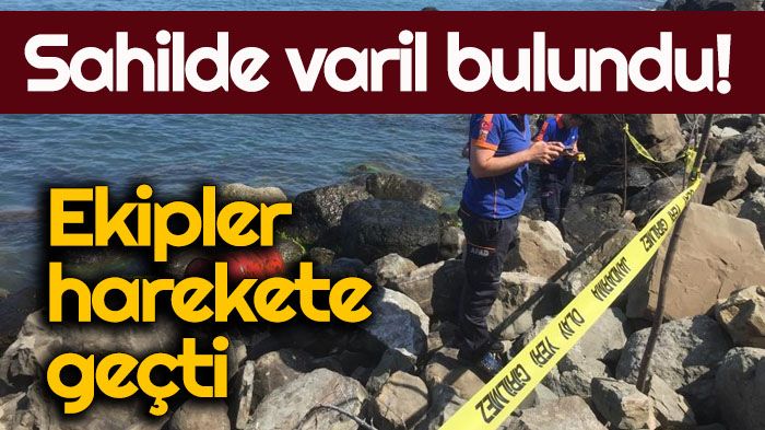 Zonguldak’ta Filyos sahilinde bulunan varil ekipleri harekete geçirdi.