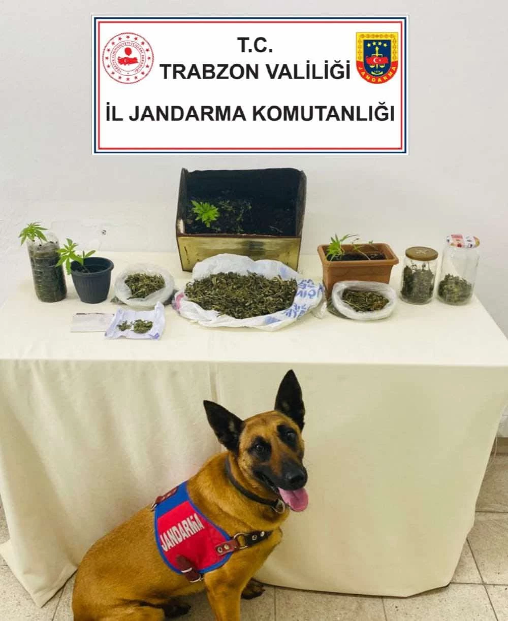 Trabzon