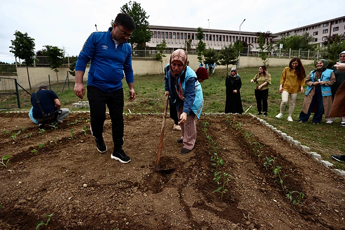 Düzce