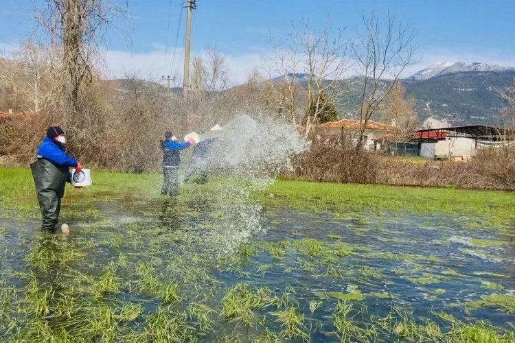 Muğla