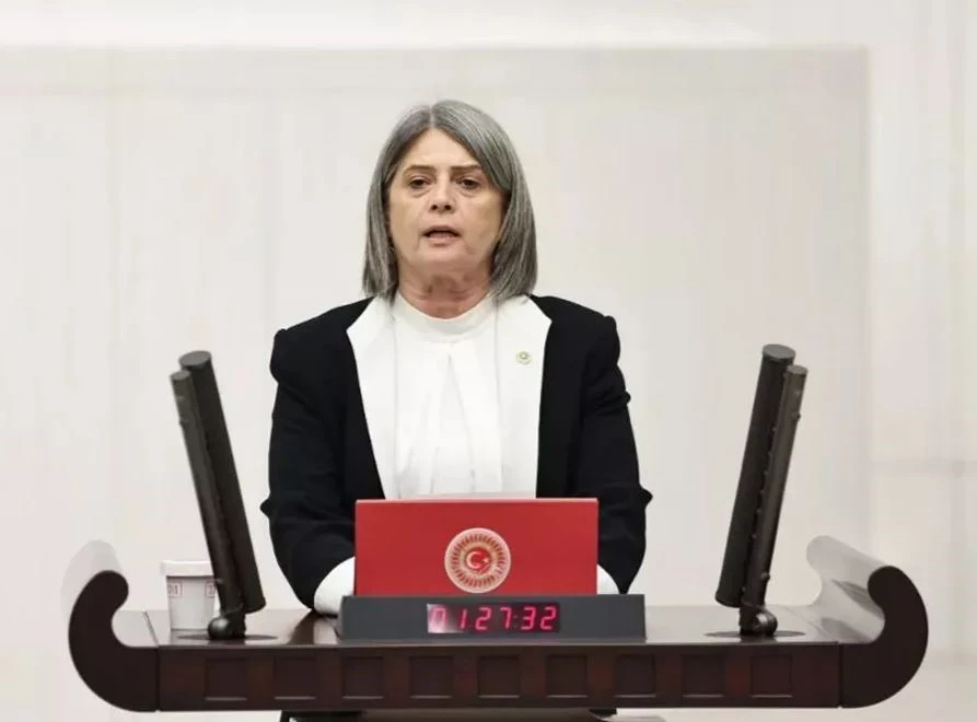 CHP Trabzon Milletvekili Sibel Suiçmez, avukatların yaşadığı sorunları TBMM