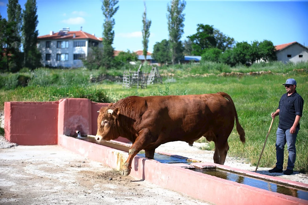 Çorum