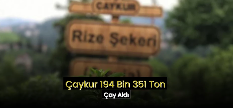 Çaykur 194 Bin 351 Ton Çay Aldı!