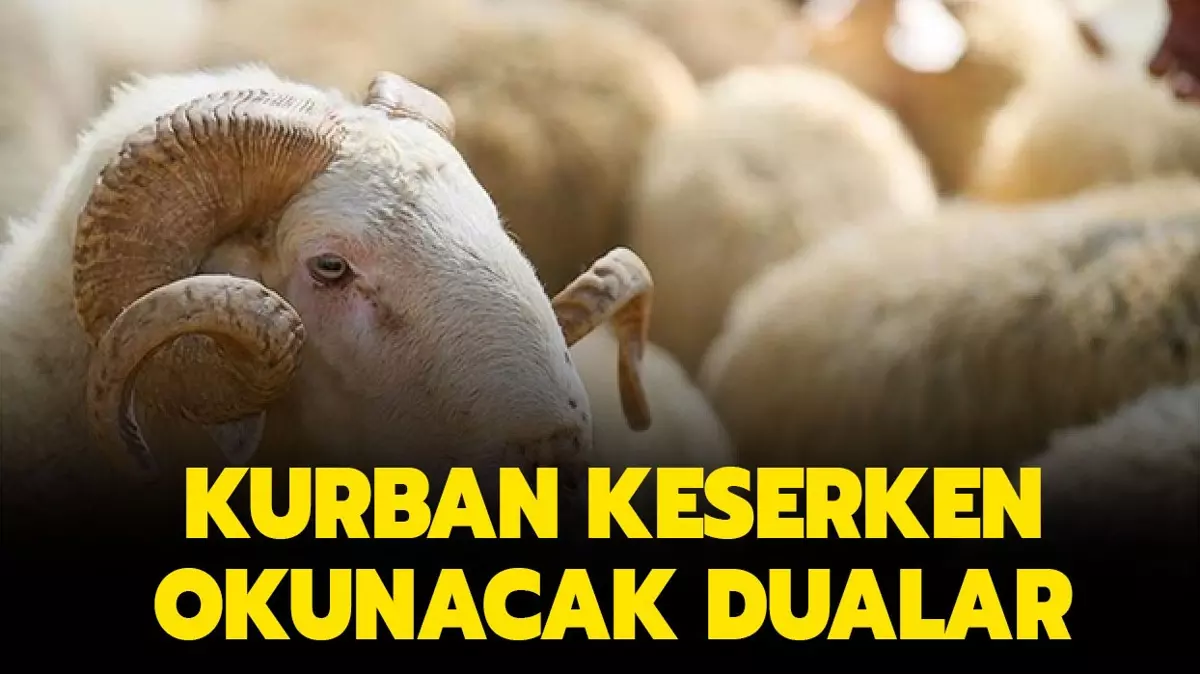 Kurban keserken okunacak dualar! Kurban keserken hangi dualar okunur?