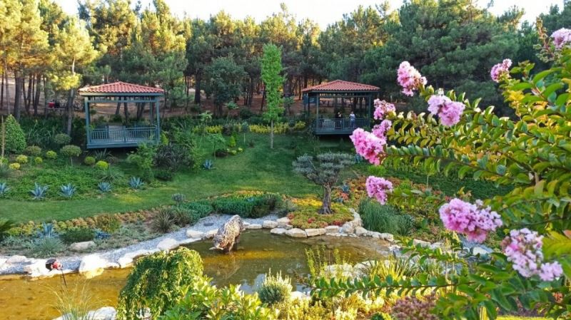 Trabzon Park Millet Bahçesi yapılıyor!